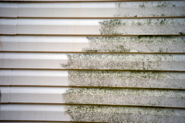 Affordable siding repair and maintenance services in Saraland, AL