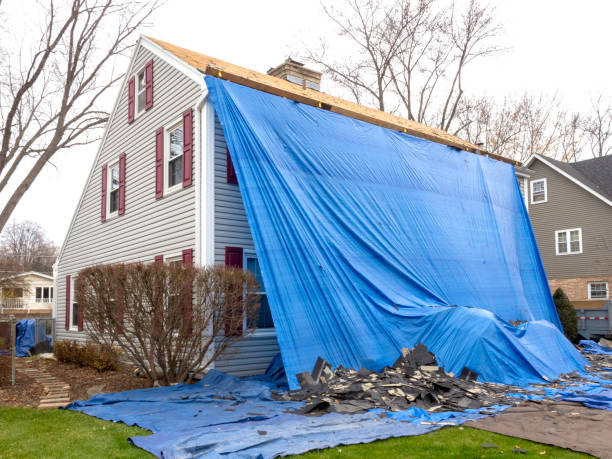 Best Storm Damage Siding Repair  in Sarand, AL